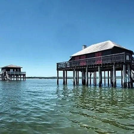 Maison Arcachon, 3 Pieces, 6 Personnes - Fr-1-420-22 Arcachon
